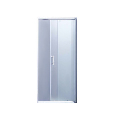 Lidz 5мм скляні двері матові Frost ŻYCIE SD100x185.FR